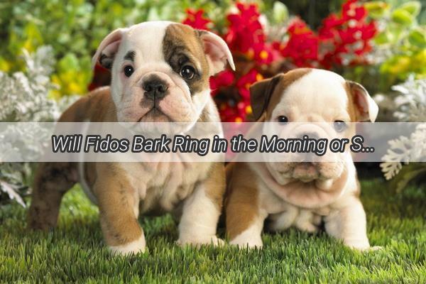 Will Fidos Bark Ring in the Morning or Sleep Through the Night A Canine Alarm Clock Mystery